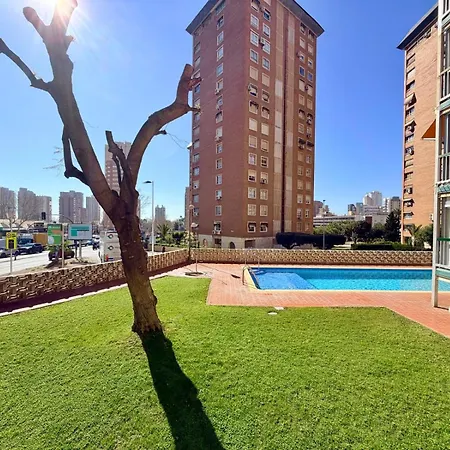 Tamarindos Levante * Benidorm
